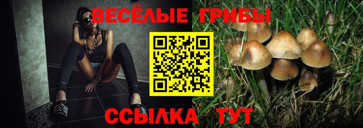 Галлюциногенные грибы Psilocybine cubensis  Галлюциногенные грибы прущие грибы  Вход с VPN  Городец 