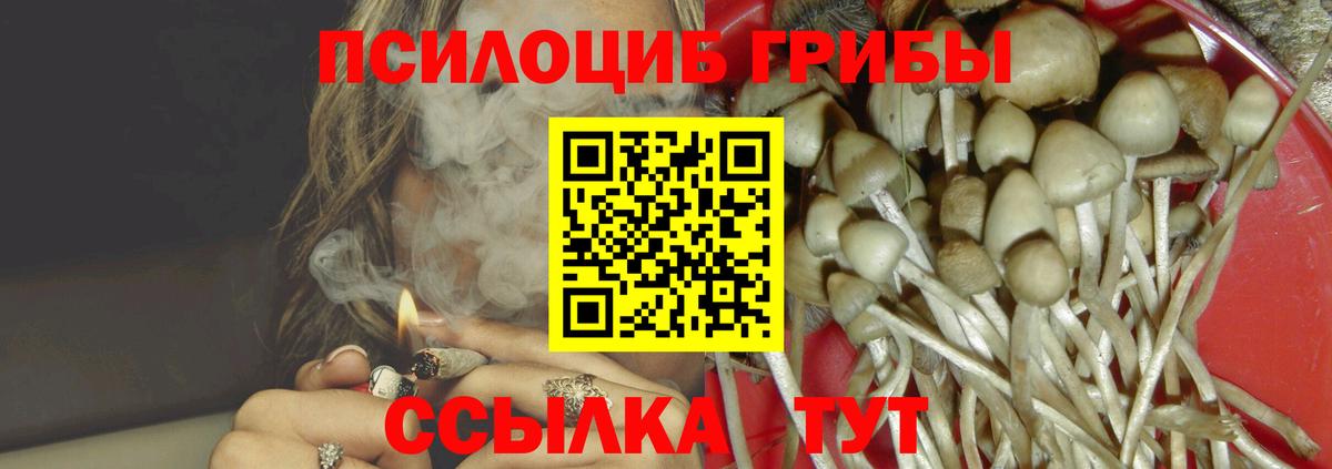Галлюциногенные грибы MAGIC MUSHROOMS Городец
